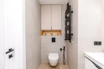 ул. Василе Лупу, Буюканы изображение 243847