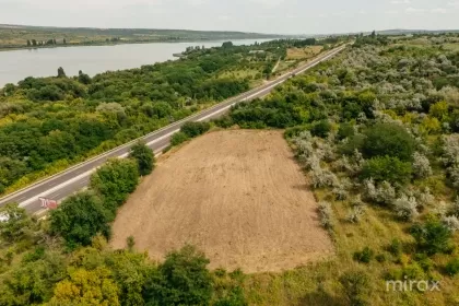 s. Cojușna, Strășeni, Chișinău image 228630