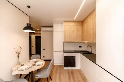 ул. Гика Водэ, Ботаника, Кишинев изображение 238904