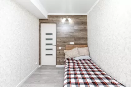 str. Gribov, Durlești imaginea 240147