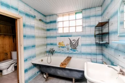 г. Сынжера, мун. Кишинёв изображение 242688