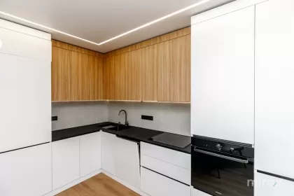 str. Cornești, Râșcani, Chișinău image 243855