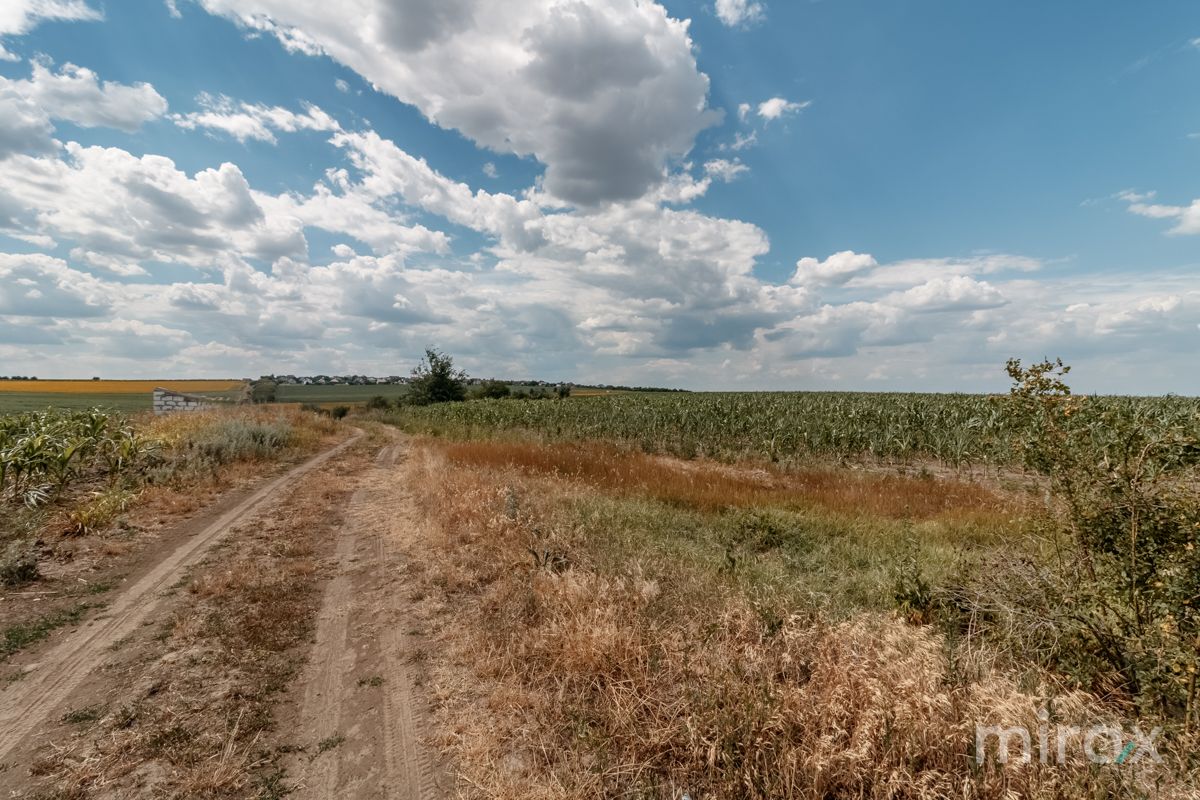 Sângera, Chișinău 