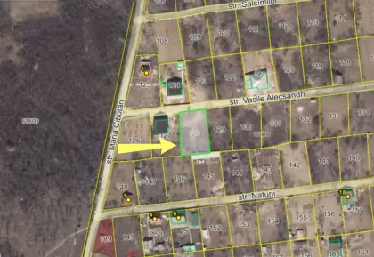 s. Merenii Noi, Anenii Noi image 238933