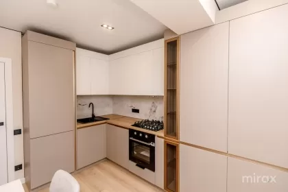 бул. Мирча чел Бэтрын, Чеканы изображение 242694