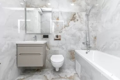 бул. Мирча чел Бэтрын, Чеканы изображение 242706