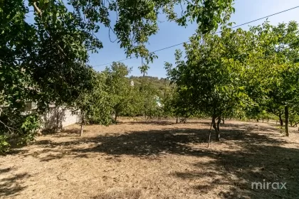 s. Peresecina, Orhei, mun. Chișinău imaginea 234100