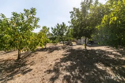 s. Peresecina, Orhei, mun. Chișinău imaginea 234101