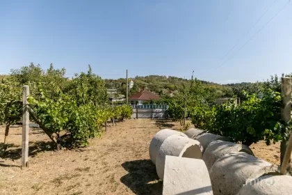 s. Peresecina, Orhei, mun. Chișinău imaginea 234103