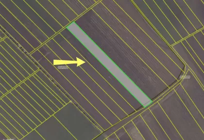 с. Колоница, мун. Кишинэу изображение 238934