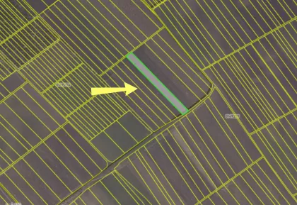 с. Колоница, мун. Кишинэу изображение 238935