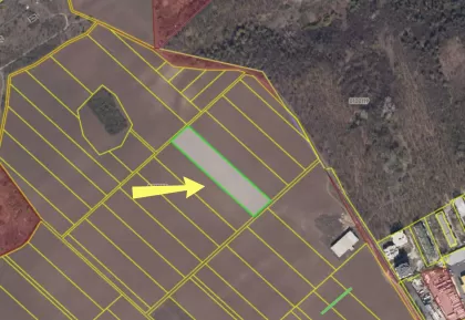 com. Băcioi, mun. Chișinău imaginea 243908