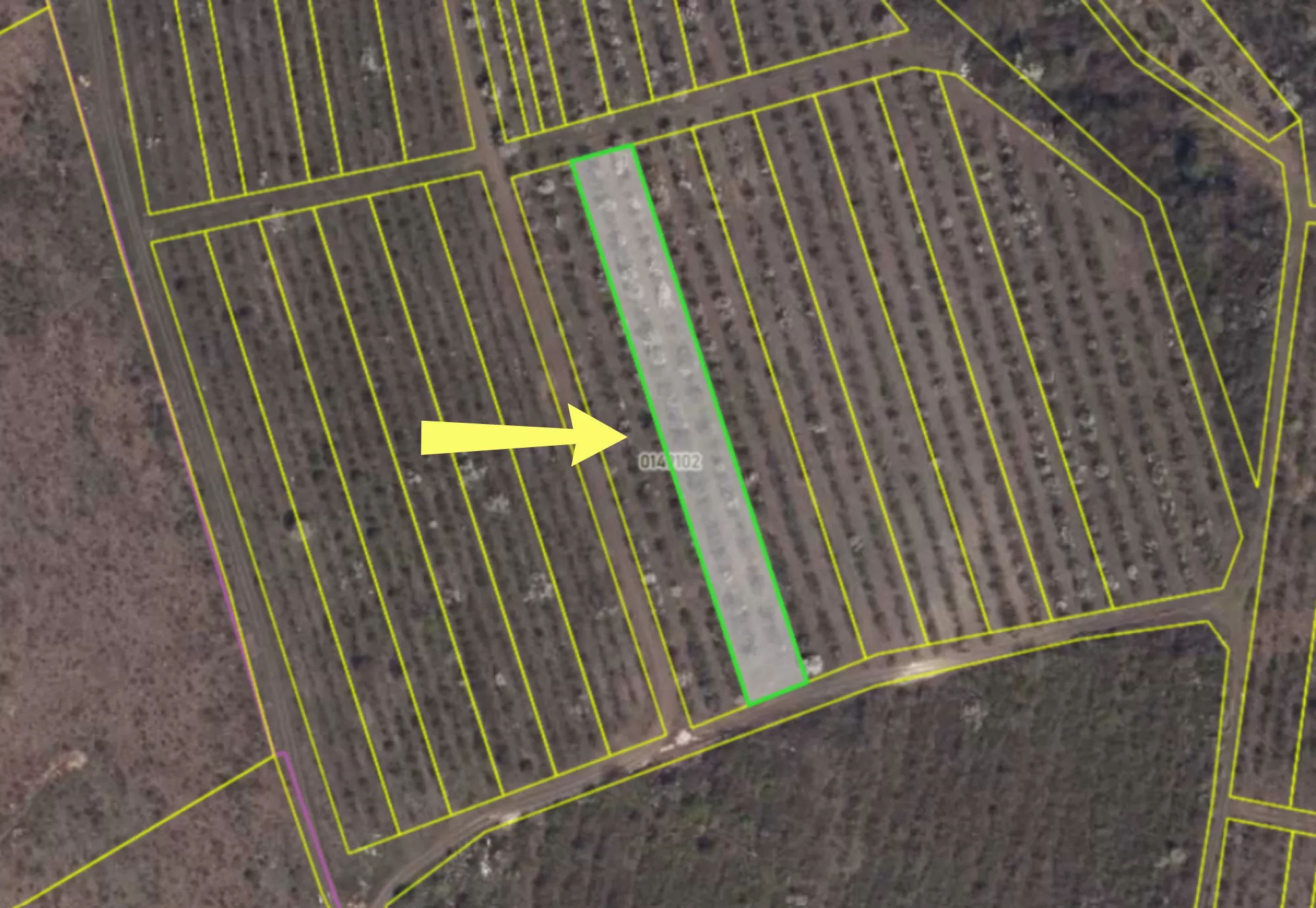 с. Колоница, мун. Кишинэу