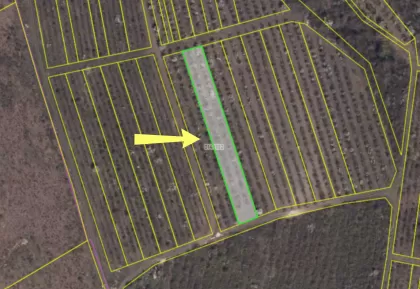 с. Колоница, мун. Кишинэу изображение 238936