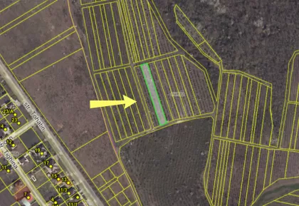 с. Колоница, мун. Кишинэу изображение 238937