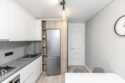 ул. Андрей Дога, Рышкань изображение 242728