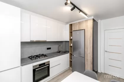 ул. Андрей Дога, Рышкань изображение 242726