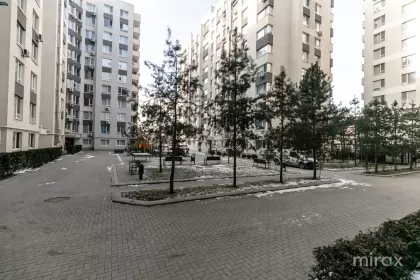 ул. Андрей Дога, Рышкань изображение 242743