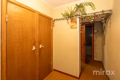 str. Florilor, Râșcani, Chișinău image 229599