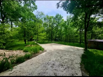 str.Tineretului, Poiana Domnească, or.Chișinău imaginea 224682