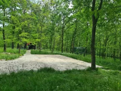str.Tineretului, Poiana Domnească, or.Chișinău imaginea 224686