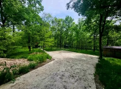str.Tineretului, Poiana Domnească, or.Chișinău imaginea 224688