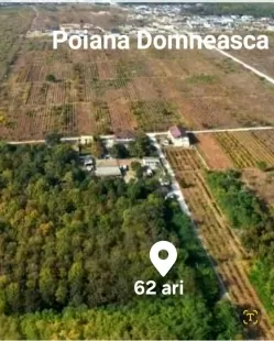 str.Tineretului, Poiana Domnească, or.Chișinău imaginea 224689