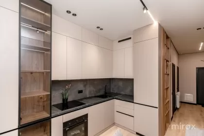 ул. Василе Лупу, Буюканы изображение 243936