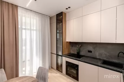 ул. Василе Лупу, Буюканы изображение 243938