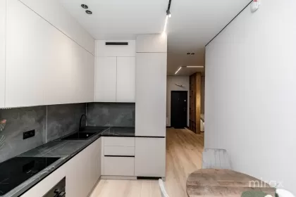 ул. Василе Лупу, Буюканы изображение 243937