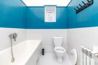 ул. Дымбулуй, Центр, Кишинёв изображение 238990