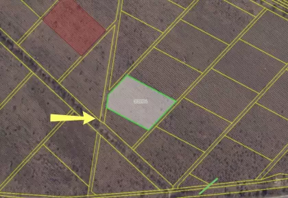 с. Будешть, мун Кишинев изображение 242806