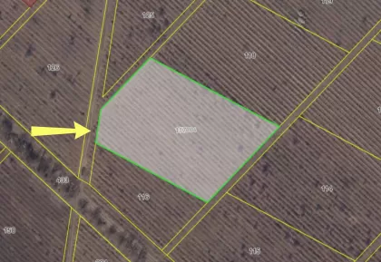 с. Будешть, мун Кишинев изображение 242807