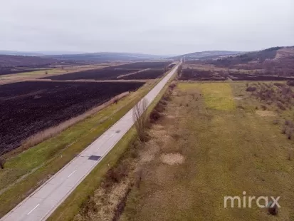 s. Hoginești, Călăraș, Moldova