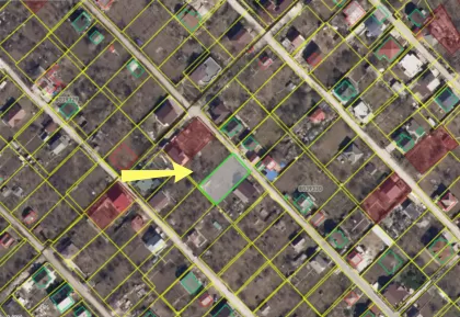 str. Florilor, Dumbrava imaginea 239017