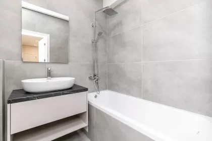 бул. Мирча чел Бэтрын, Чеканы изображение 242822