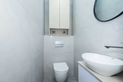 бул. Мирча чел Бэтрын, Чеканы изображение 243981