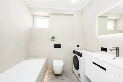 бул. Мирча чел Бэтрын, Чеканы изображение 243983