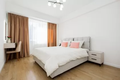 бул. Мирча чел Бэтрын, Чеканы изображение 243976