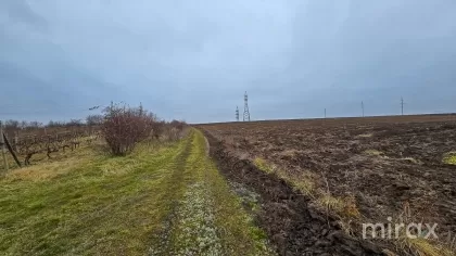 com. Ghidighici, Chișinău, Moldova