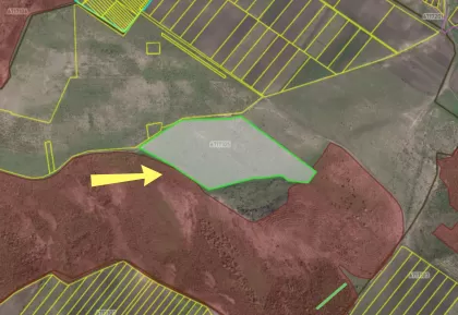 с. Гидулень, Резина изображение 243984