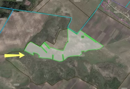 с. Гидулень, Резина изображение 243985