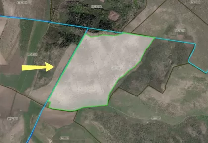 с. Гидулень, Резина изображение 243986