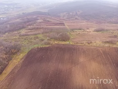 com. Ghidighici, Chișinău, Moldova imaginea 197724