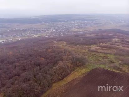 com. Ghidighici, Chișinău, Moldova imaginea 197725