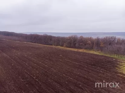 com. Ghidighici, Chișinău, Moldova imaginea 197727