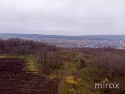 com. Ghidighici, Chișinău, Moldova