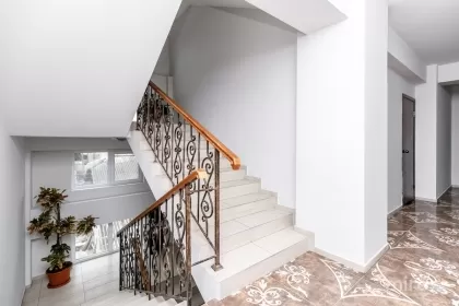 ул. Александр Бернардацци, Центр изображение 242852