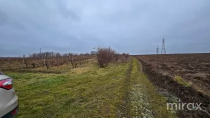 com. Ghidighici, Chișinău, Moldova