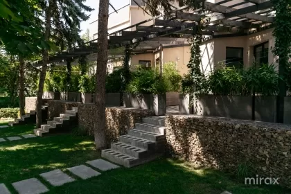 str. Zimbrului, Râșcani, mun. Chișinău imaginea 231146